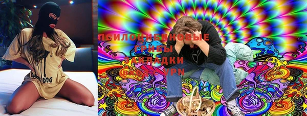 спиды Нея